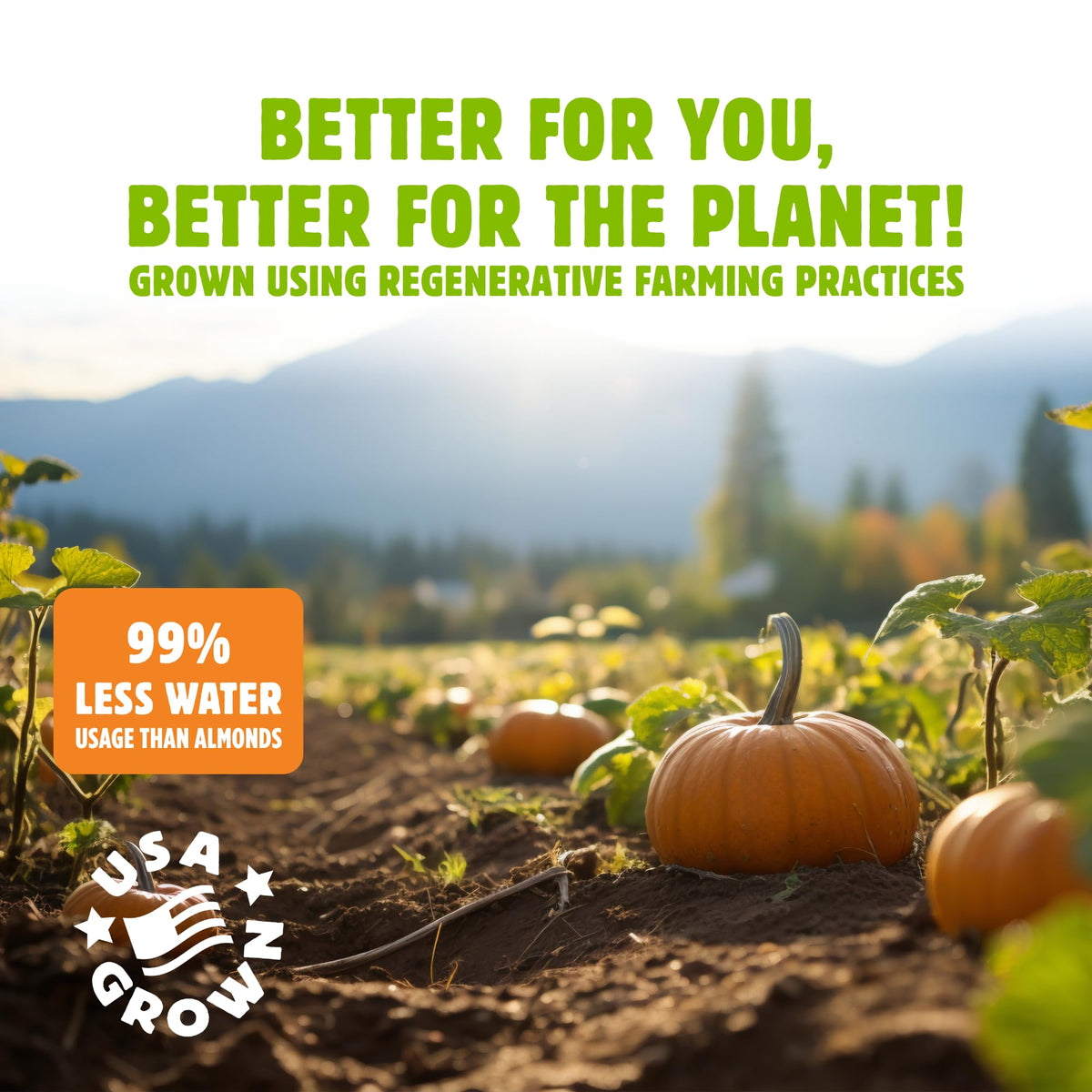 Top Fox pumpkin seeds ingredients photo emphasizes organic farming and no additives.