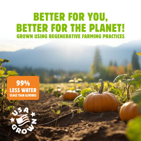 Top Fox pumpkin seeds ingredients photo emphasizes organic farming and no additives.