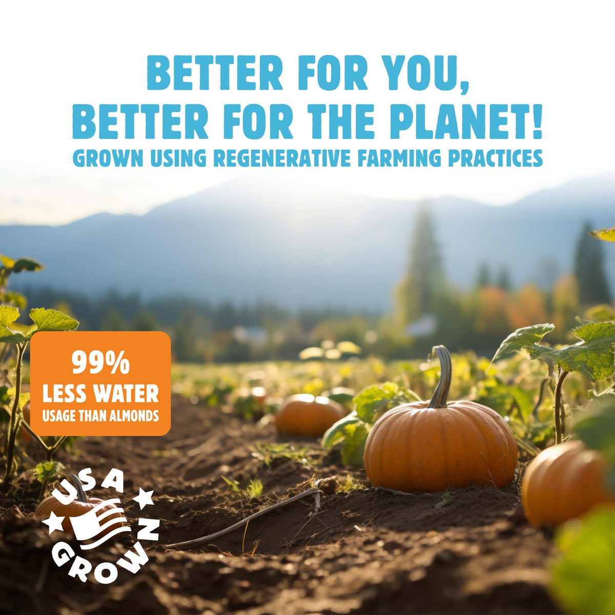 Top Fox Snacks regenerative farming pumpkin seeds support soil health and biodiversity.