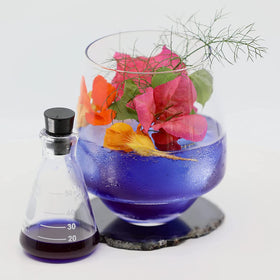 Top Hat Provisions Butterfly Truth Serum in cocktail demonstrates color-changing potential with acidity.