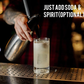 Top Hat Provisions ingredients shot showing citrus and ginger for balanced brightness.