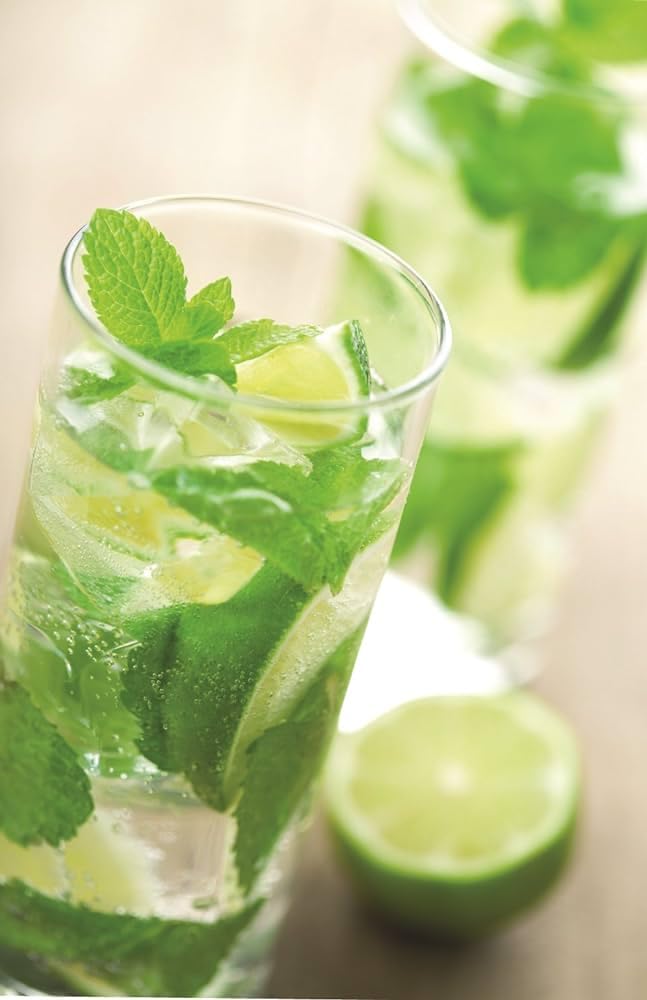 Torani Mojito Mint Syrup glass-mojito scene showcases a refreshing minty beverage.