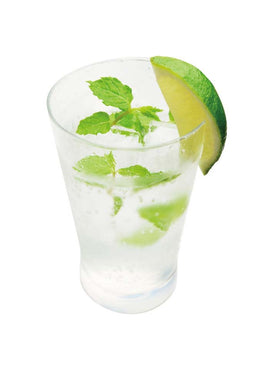 Torani Mojito Mint Syrup mint leaves pairing for garden-fresh beverage ideas.
