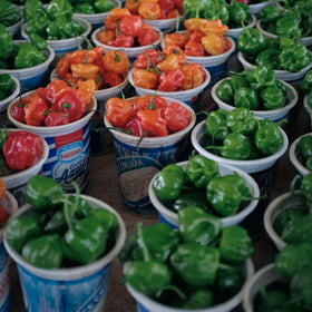TorchBearer The Rapture label closeup reveals peppers and bold branding