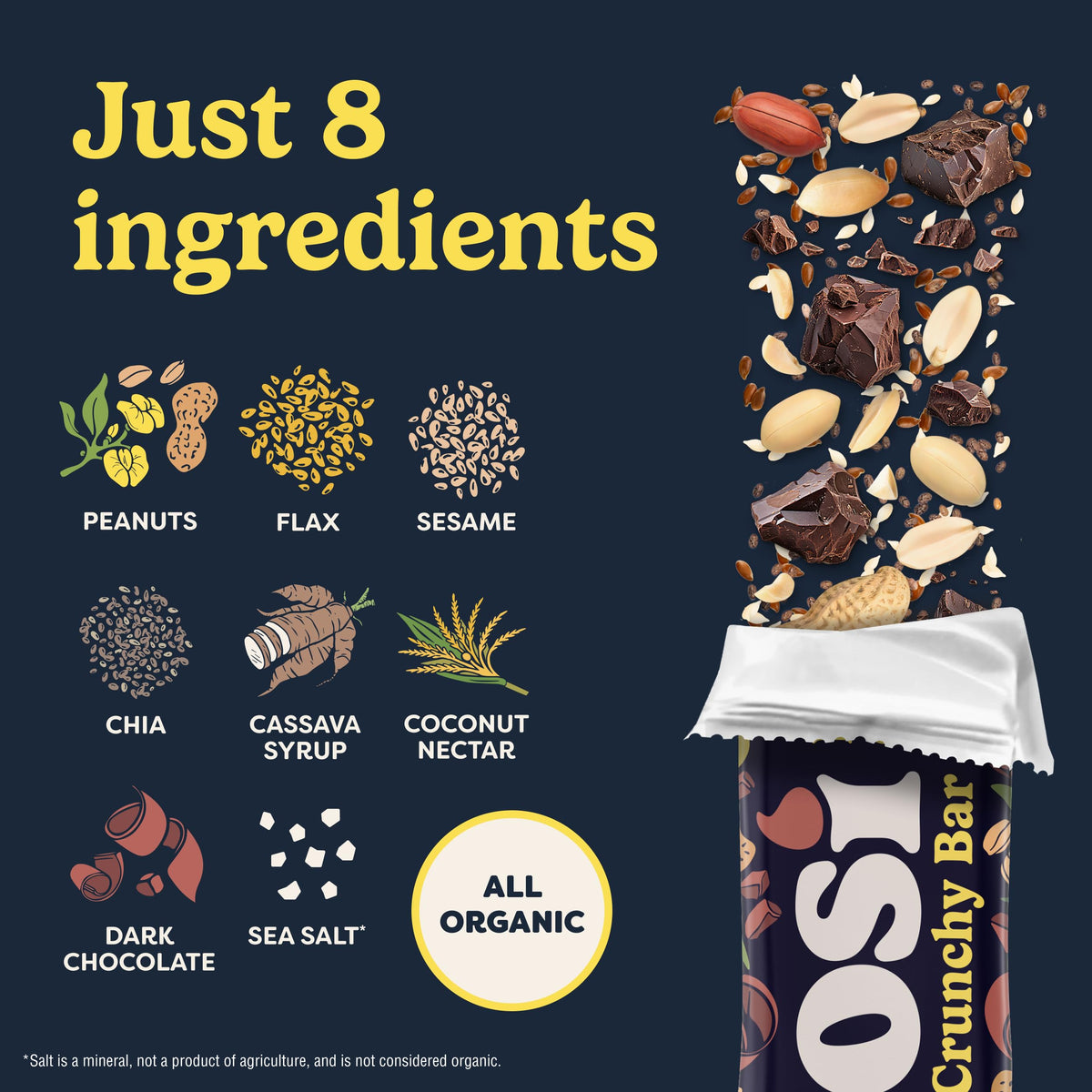 Tosi Nut Bars plant protein from nuts and seeds closeup—nutrient-dense crunch