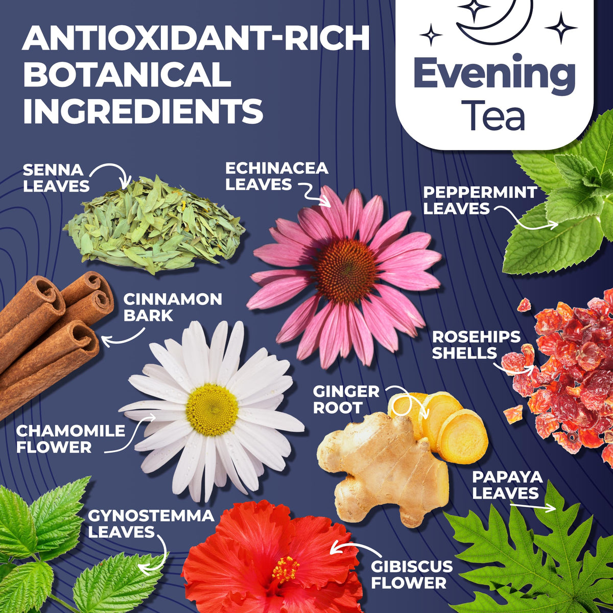 Total Tea Detox Tea & Energy Set K-Cup pods for fast brews.