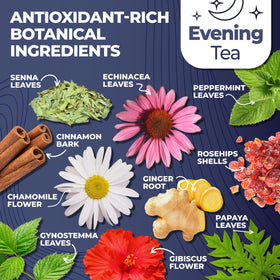 Total Tea Detox Tea & Energy Set K-Cup pods for fast brews.