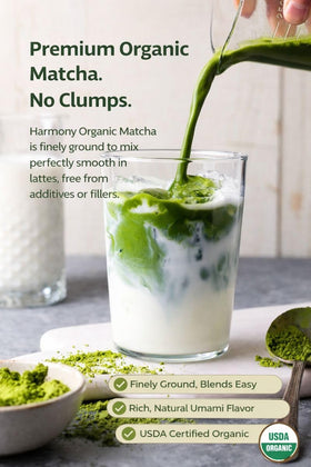 Touch Organic Harmony Matcha prepared drink ideal for hot or cold beverages.