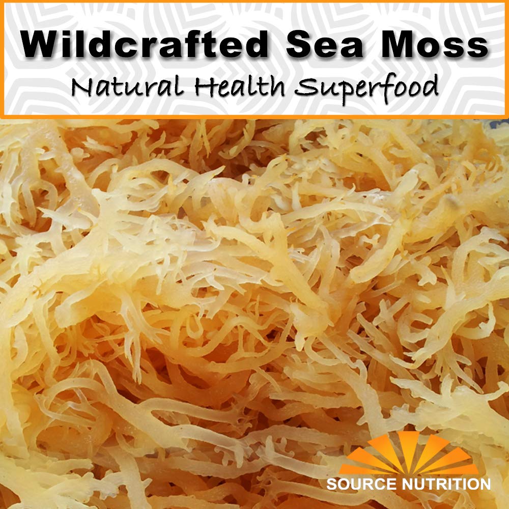 TradeKing hand-picked sea moss, showcasing ocean harvest quality and purity.