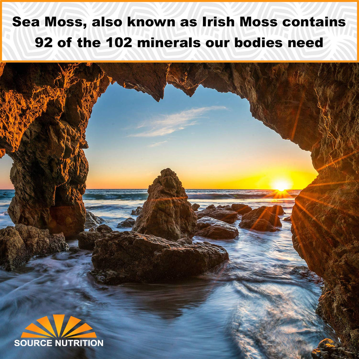 TradeKing ocean-harvest origin Vietnam sea moss supports ethical sourcing.