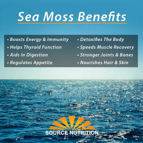 TradeKing sea moss in smoothie-ready form for a nutrient boost.