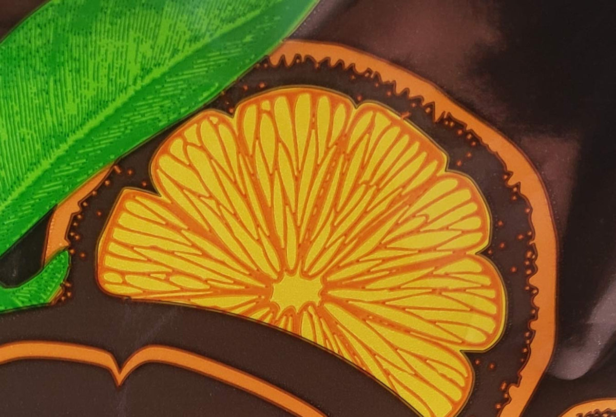 Trader Joe's dark chocolate orange sticks gift-pack image suggests ready-for-gifting