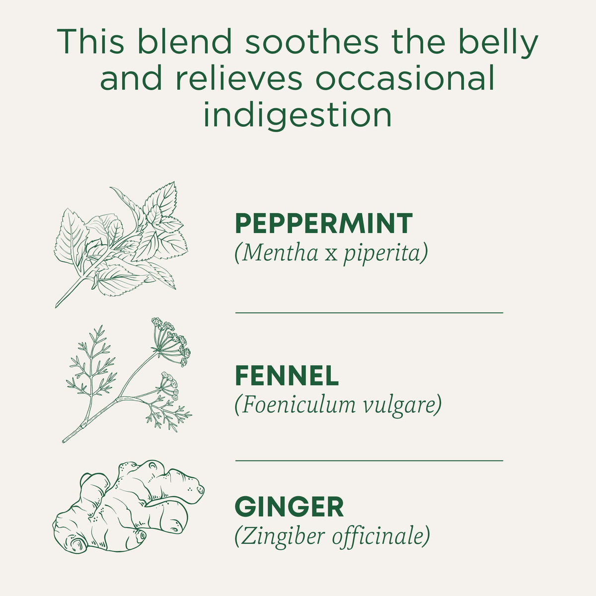 Traditional Medicinals Belly Comfort Tea cup during steeping releases peppermint aroma for post-meal calm.