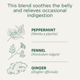 Traditional Medicinals Belly Comfort Tea cup during steeping releases peppermint aroma for post-meal calm.