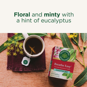 Brewing Traditional Medicinals tea in a cup with a refreshing aroma