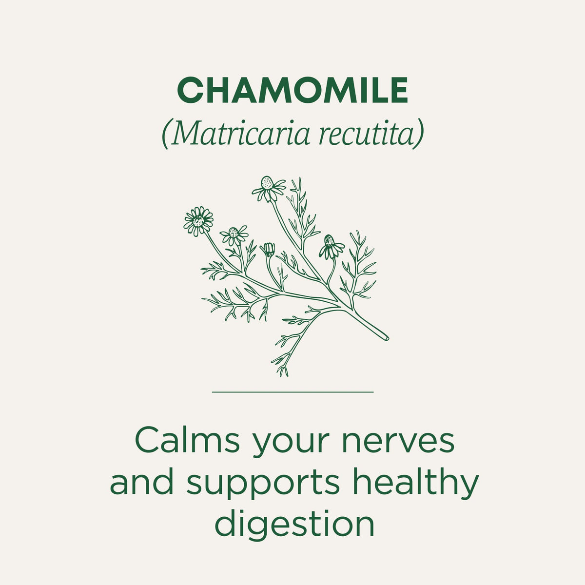 Traditional Medicinals chamomile tea bags, 96-count, for a soothing ritual.