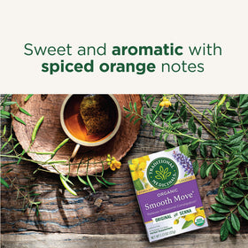 Traditional Medicinals Chocolate Smooth Move aroma offers a comforting roasted chocolate note.