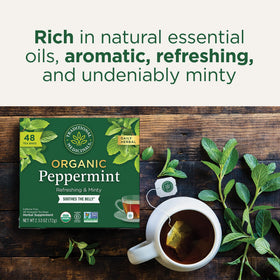 Traditional Medicinals compostable tea bags, eco-friendly packaging detail.