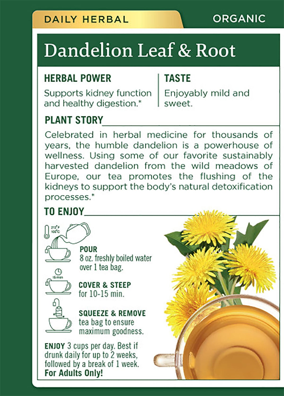 Traditional Medicinals dandelion tea cup steeping for a comforting ritual.