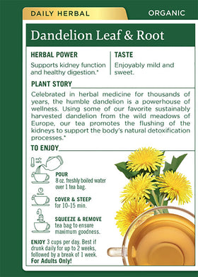 Traditional Medicinals dandelion tea cup steeping for a comforting ritual.