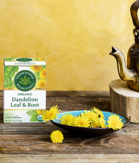 Traditional Medicinals dandelion tea setup for daily digestive routine.