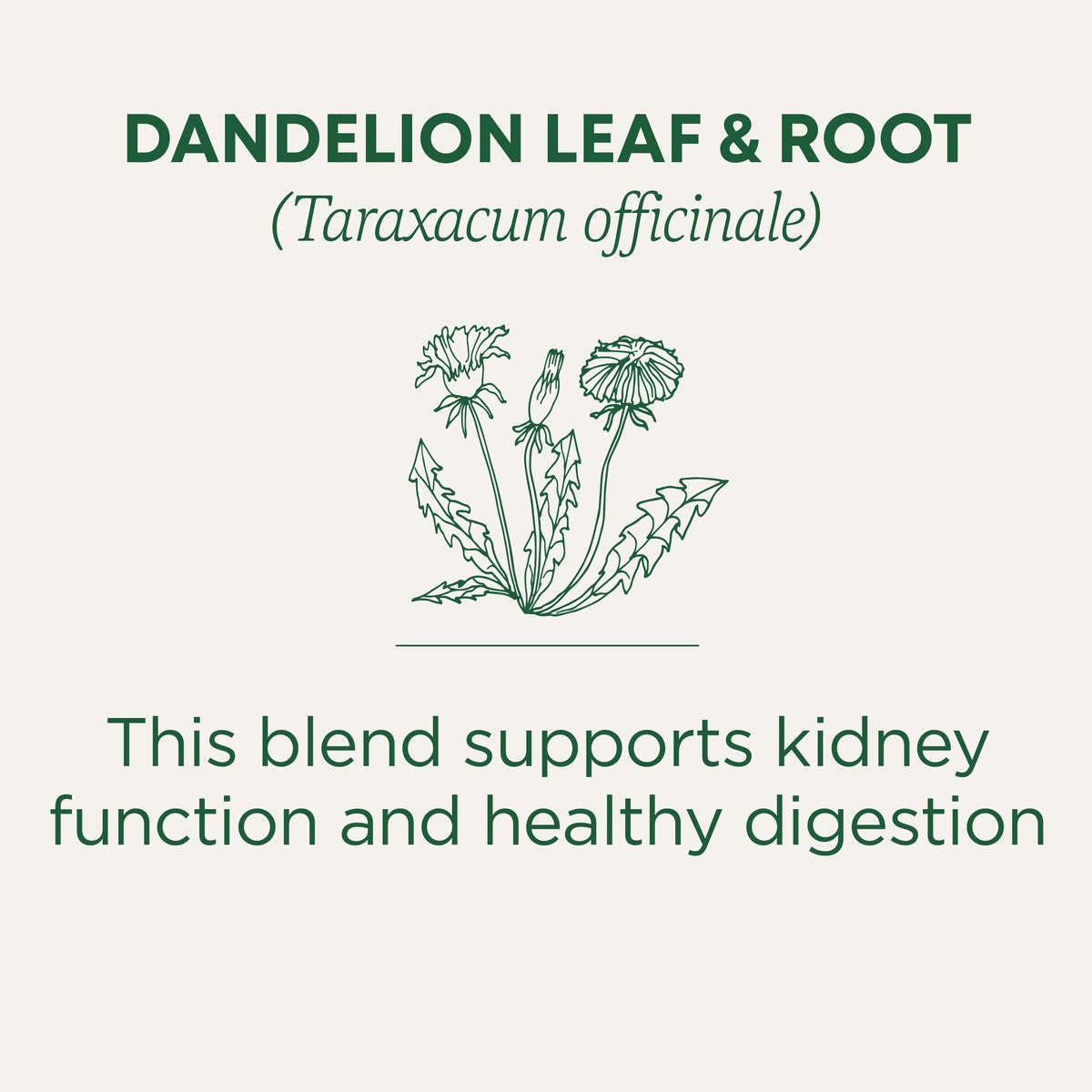 Traditional Medicinals dandelion tea with mild sweet brew for digestion