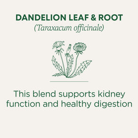 Traditional Medicinals dandelion tea with mild sweet brew for digestion
