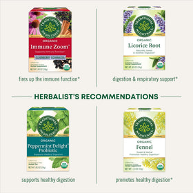 Traditional Medicinals Echinacea tea bag offers immune-supporting herbal blend.