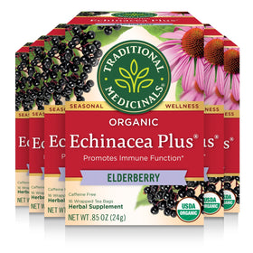 Traditional Medicinals Organic Echinacea Plus Elderberry tea bags for daily immune-friendly routines