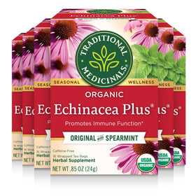 Traditional Medicinals Echinacea Plus tea bags ready for a brewing moment