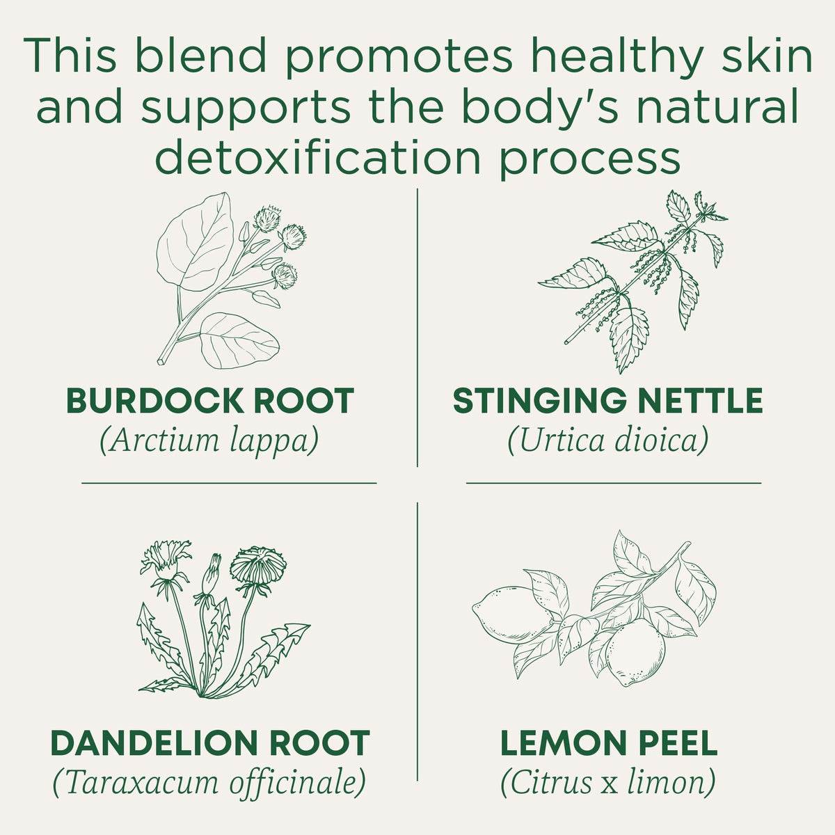 Traditional Medicinals Everyday Detox Lemon box front showing organic and caffeine-free blend