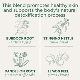Traditional Medicinals Everyday Detox Lemon box front showing organic and caffeine-free blend