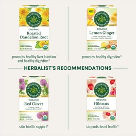 Traditional Medicinals Everyday Detox Lemon compostable tea bags packaging scene