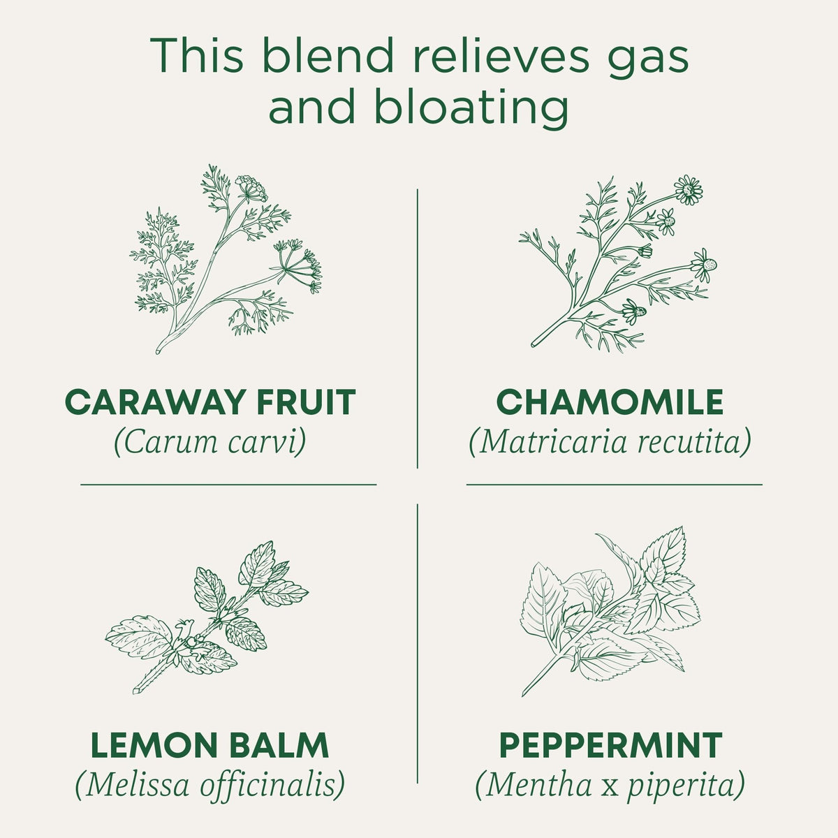 Traditional Medicinals Gas Relief Digestive Tea bags closeup highlighting convenient, caffeine-free relief after meals.