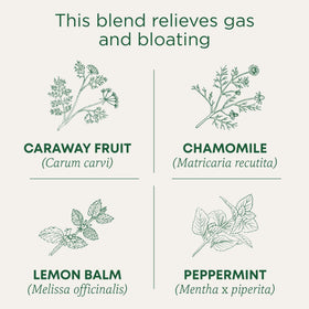 Traditional Medicinals Gas Relief Digestive Tea bags closeup highlighting convenient, caffeine-free relief after meals.