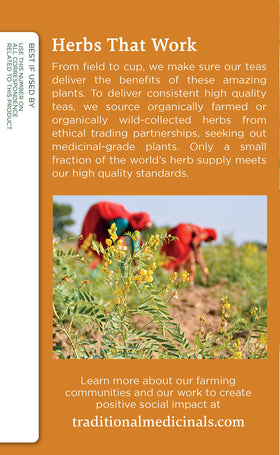 Traditional Medicinals Ginger Aid label emphasizes caffeine-free, warming flavor.