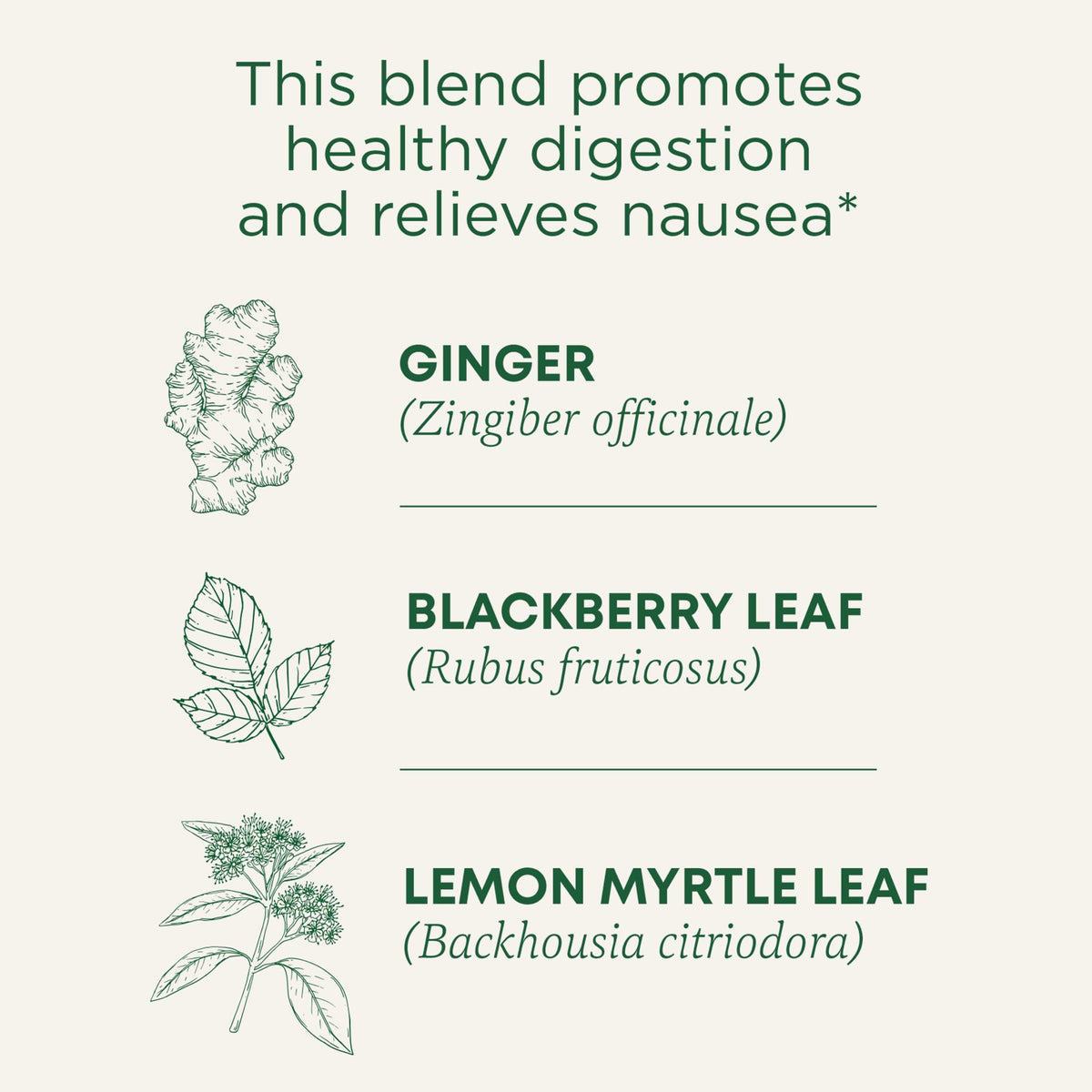 A cup of Traditional Medicinals Ginger Aid tea with warm aroma after brewing