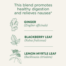 A cup of Traditional Medicinals Ginger Aid tea with warm aroma after brewing