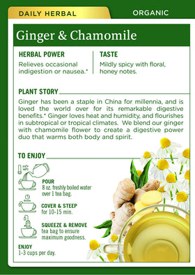 Traditional Medicinals Ginger & Chamomile tea cup steeped, warm aroma for calm evenings.