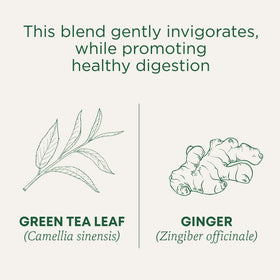Traditional Medicinals ginger root closeup: aromatic warmth for comforting tea moments.