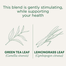 Traditional Medicinals Green Tea Lemongrass teacup steeping for a bright, citrusy break