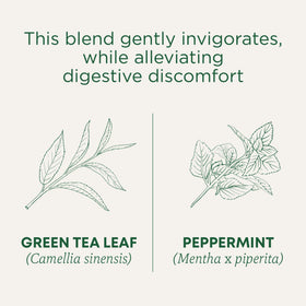 Traditional Medicinals green tea peppermint box open revealing teabags for convenient daily ritual.