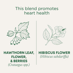 Traditional Medicinals hawthorn hibiscus tea bags ready to brew a soothing cup.