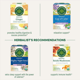 Traditional Medicinals lemon balm cup beside light meals suggests digestive ease.