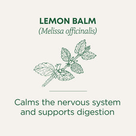 Traditional Medicinals lemon balm leaves close-up, highlighting fresh scent and natural aroma.