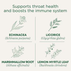 Traditional Medicinals Lemon Echinacea tea cup steeping for soothing aroma.
