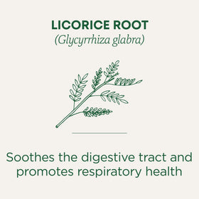 Traditional Medicinals licorice root tea cup steaming offers a comforting break after meals