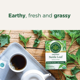Traditional Medicinals nettle tea cup with steeping infusion and earthy aroma