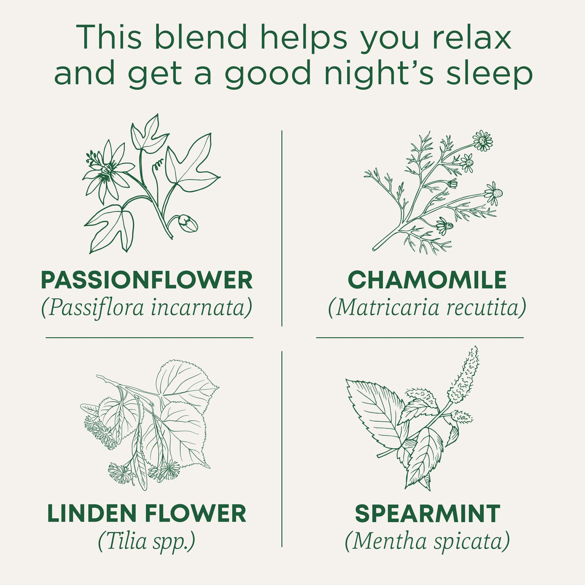 Traditional Medicinals Night Night Tea bags arranged for quick soothing cup