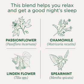 Traditional Medicinals Night Night Tea bags arranged for quick soothing cup